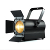 100W WW Fresnel Light With Manual Zoom